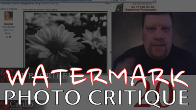 Photography Watermark Critique