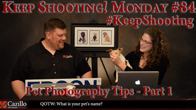 Pet Photography Tips - Part 1