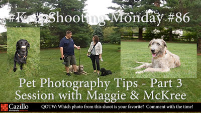 Pet Photography Tips - Part 3